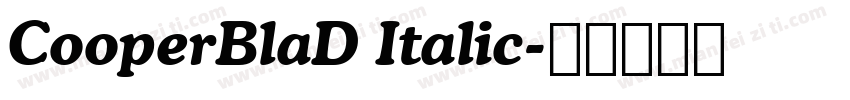 CooperBlaD Italic字体转换